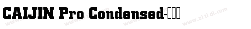 CAIJIN Pro Condensed字体转换